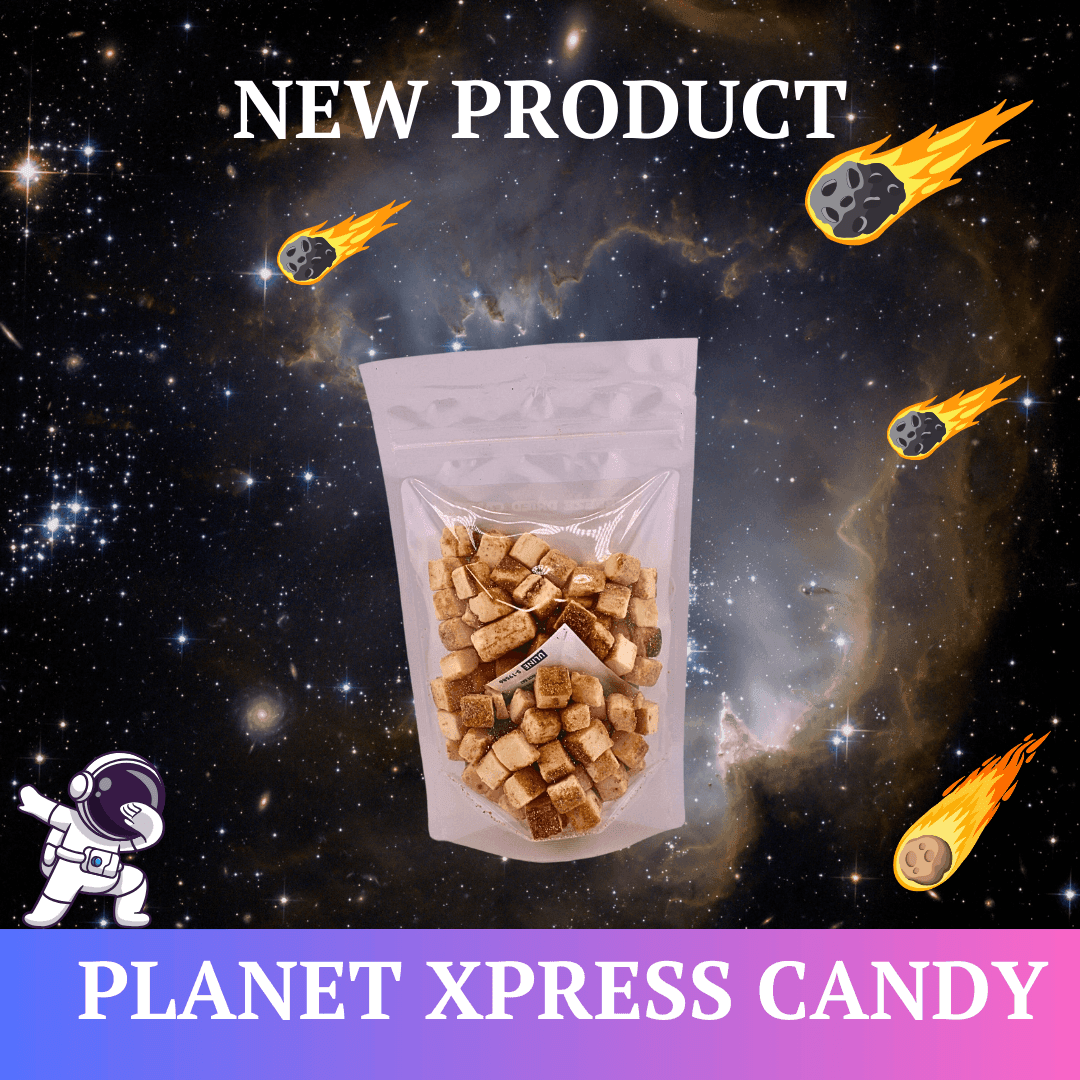 Planet Xpress Freeze Dried Candy Astro Cheesecake Nuggets – Crunchy, Creamy Cheesecake Bites with Intense Flavor - planetxpresscandy