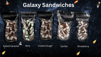 Planet Xpress Freeze Dried Vanilla Galaxy Sandwiches - planetxpresscandy